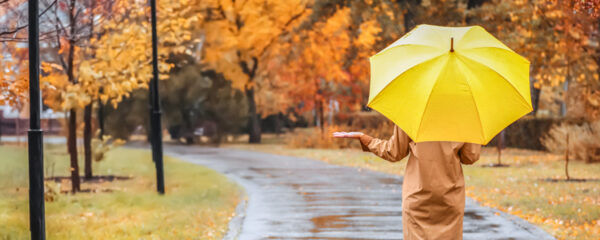 parapluie