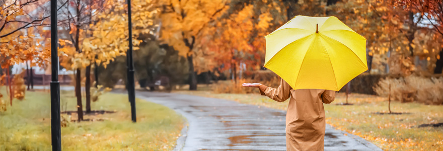 parapluie